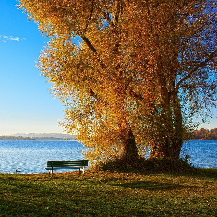 Banc lac automne