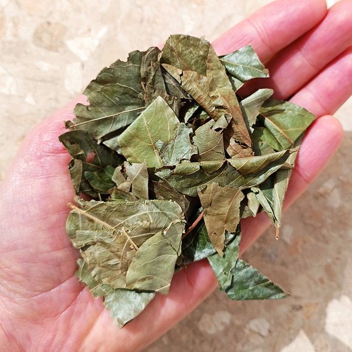 Feuilles kinkeliba