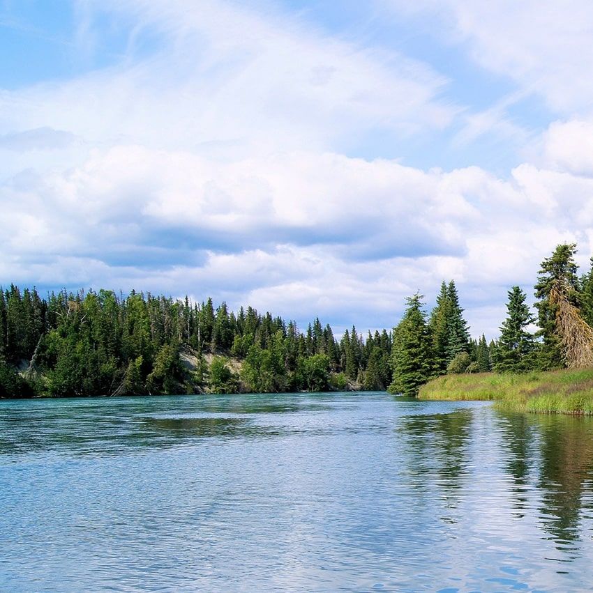 Rivière berges