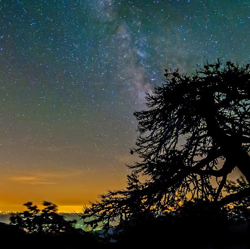 Arbre nuit étoiles