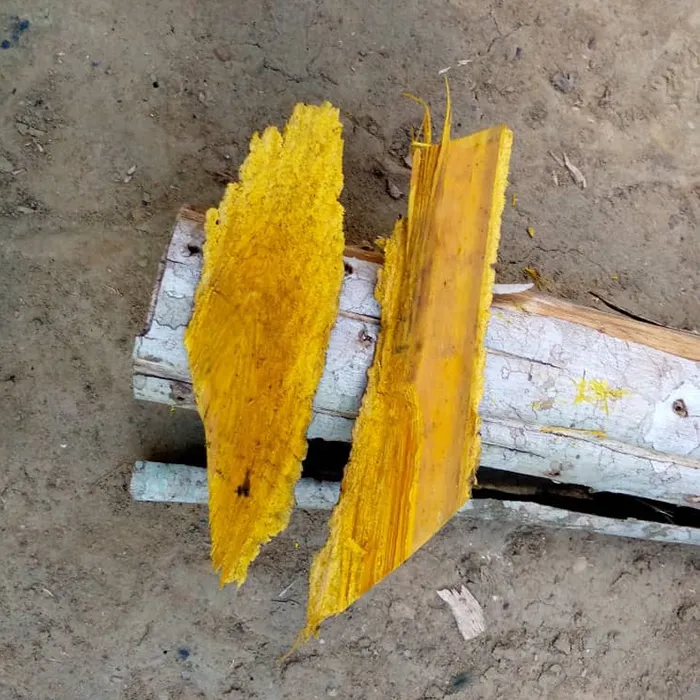 Moambé jaune
