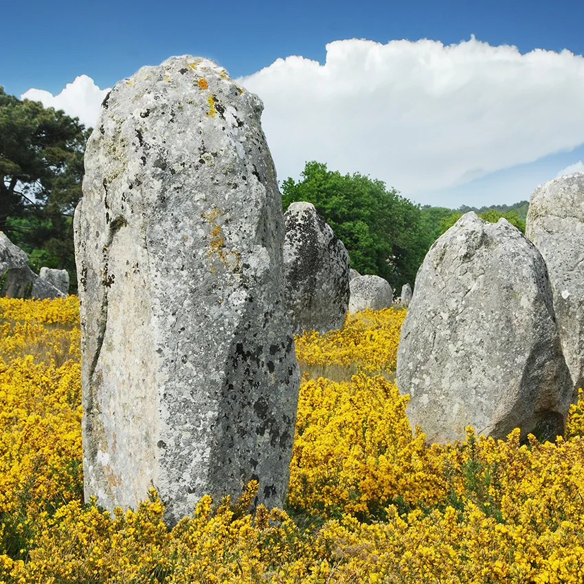 carnac Carnac