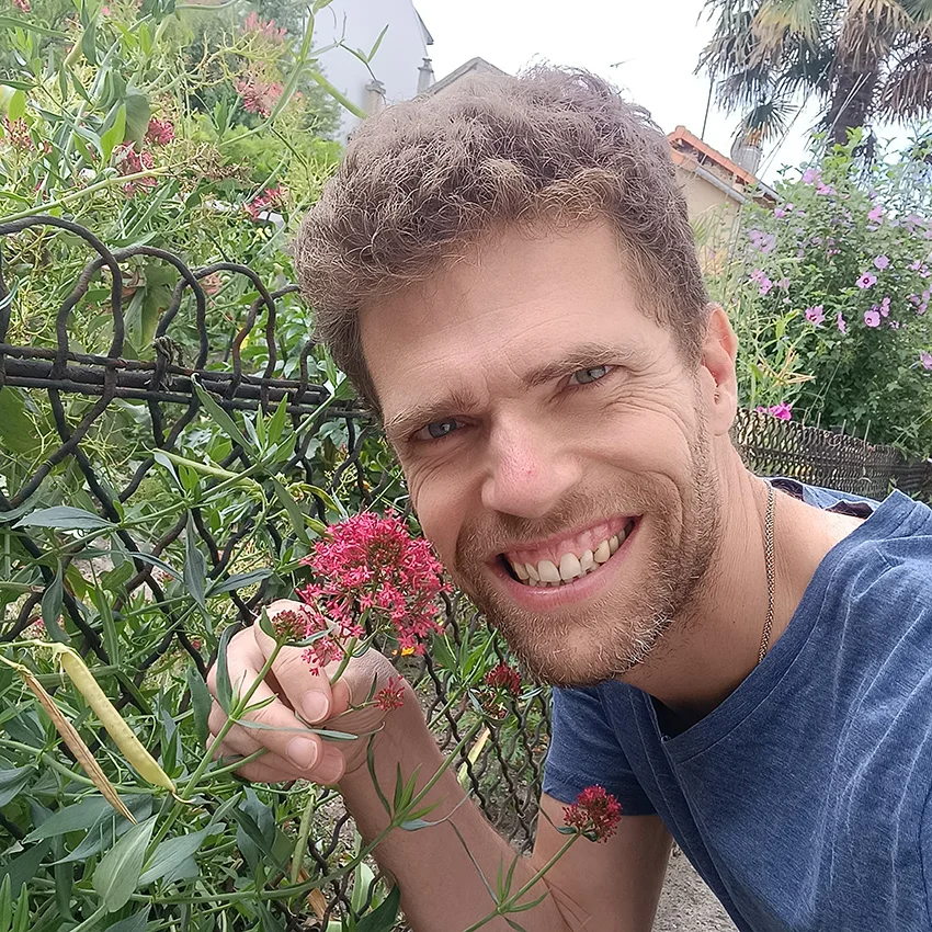 Homme valériane rouge