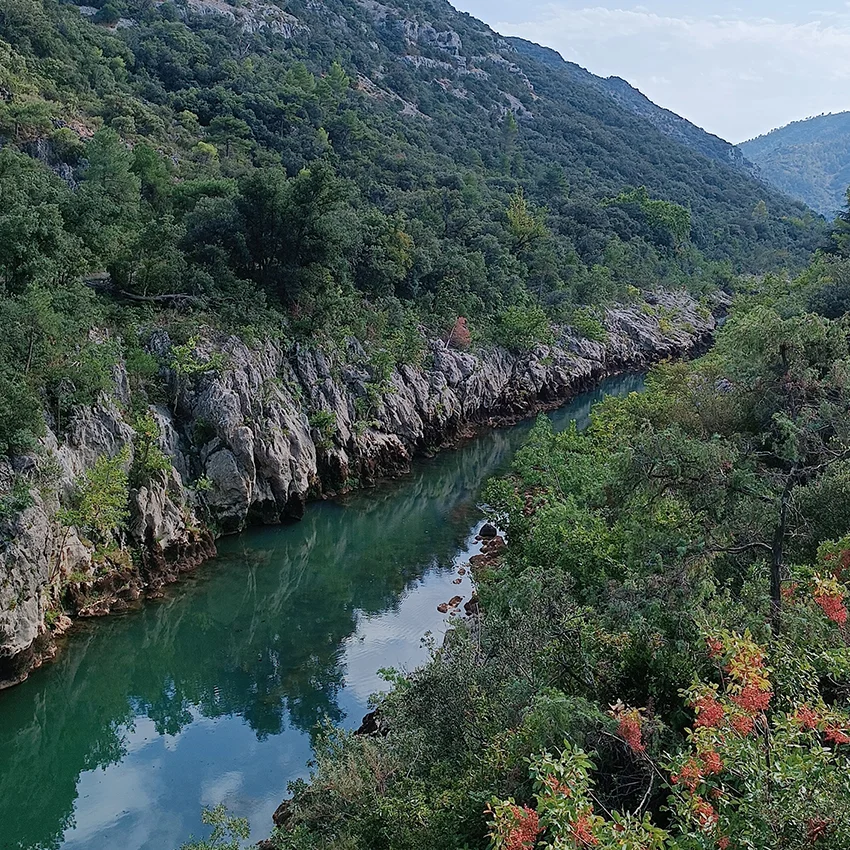 Hérault